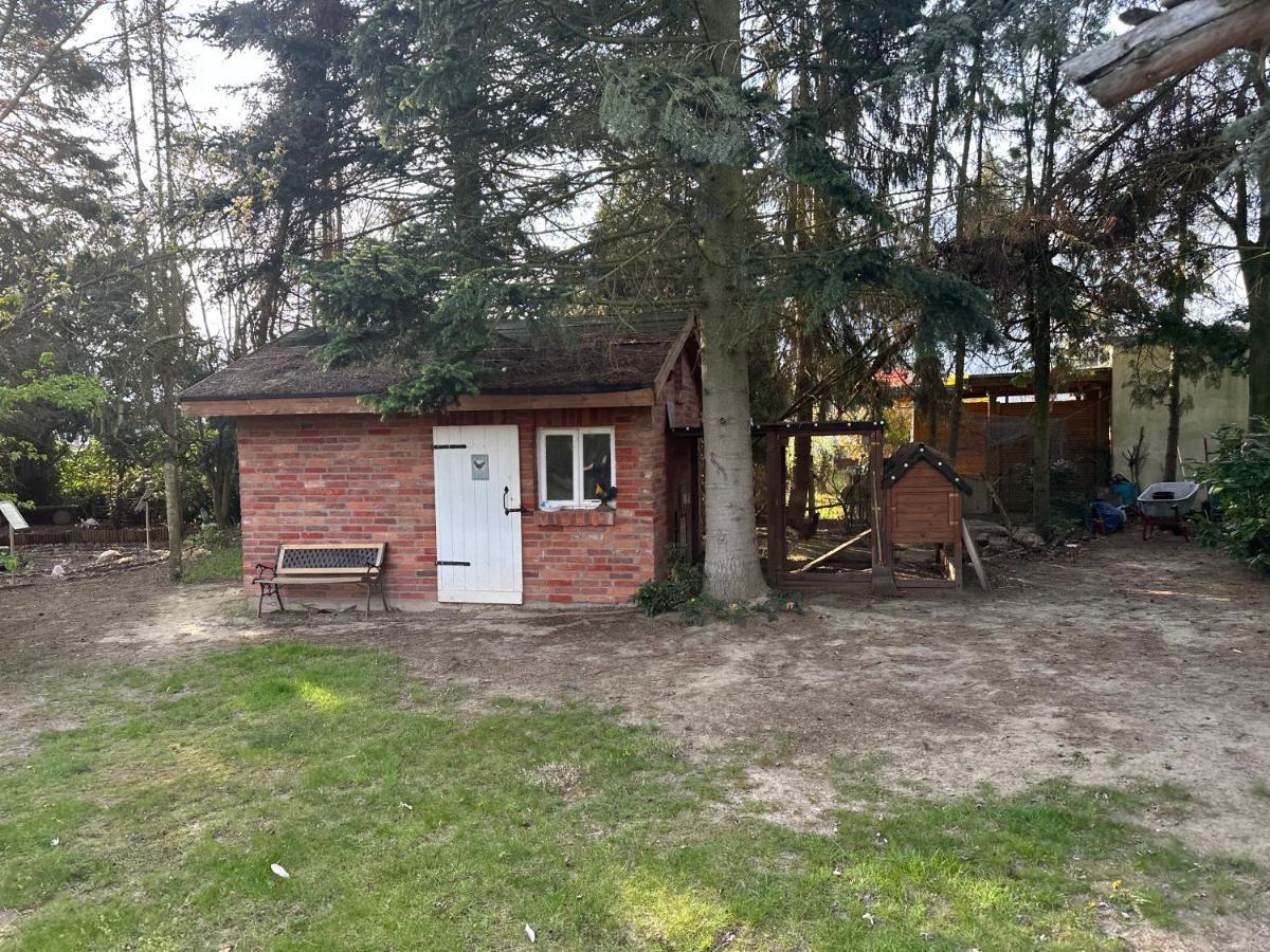Linas Wohlfuehloase Hameln Apartman Hessisch Oldendorf Kültér fotó